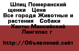 Шпиц Померанский щенки › Цена ­ 25 000 - Все города Животные и растения » Собаки   . Ханты-Мансийский,Лангепас г.